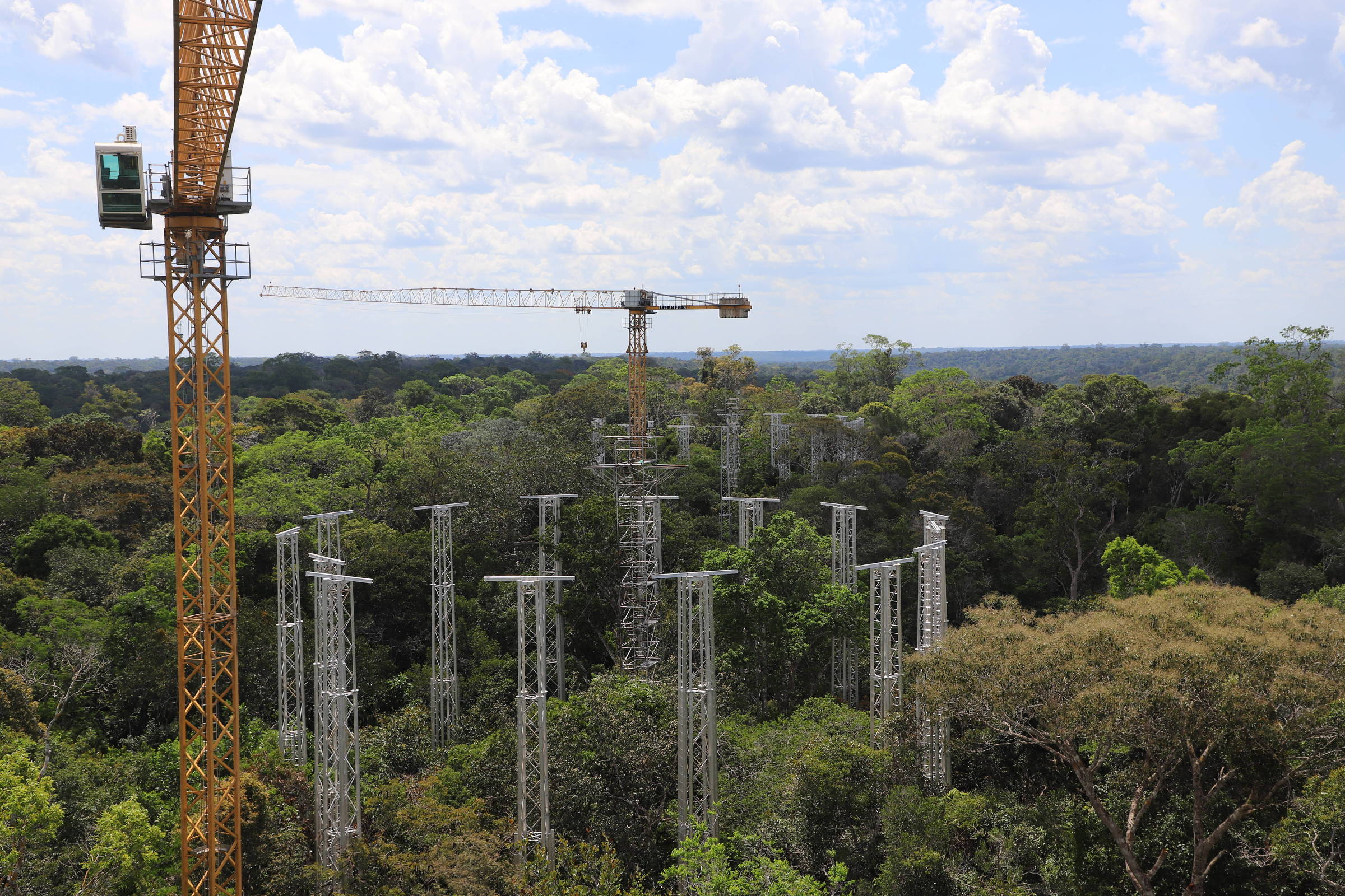 Sobrevivência na Amazônia